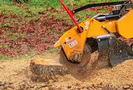 Best Lot and Land Clearing  in Cave Creek, AZ